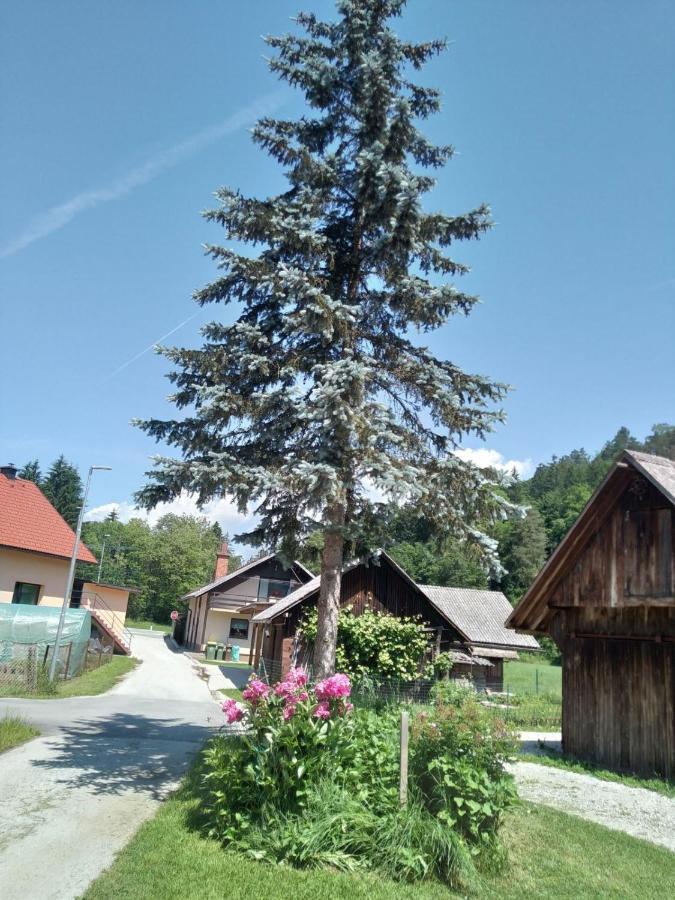 Вилла Hiska Zeleni Raj Поднарт Экстерьер фото